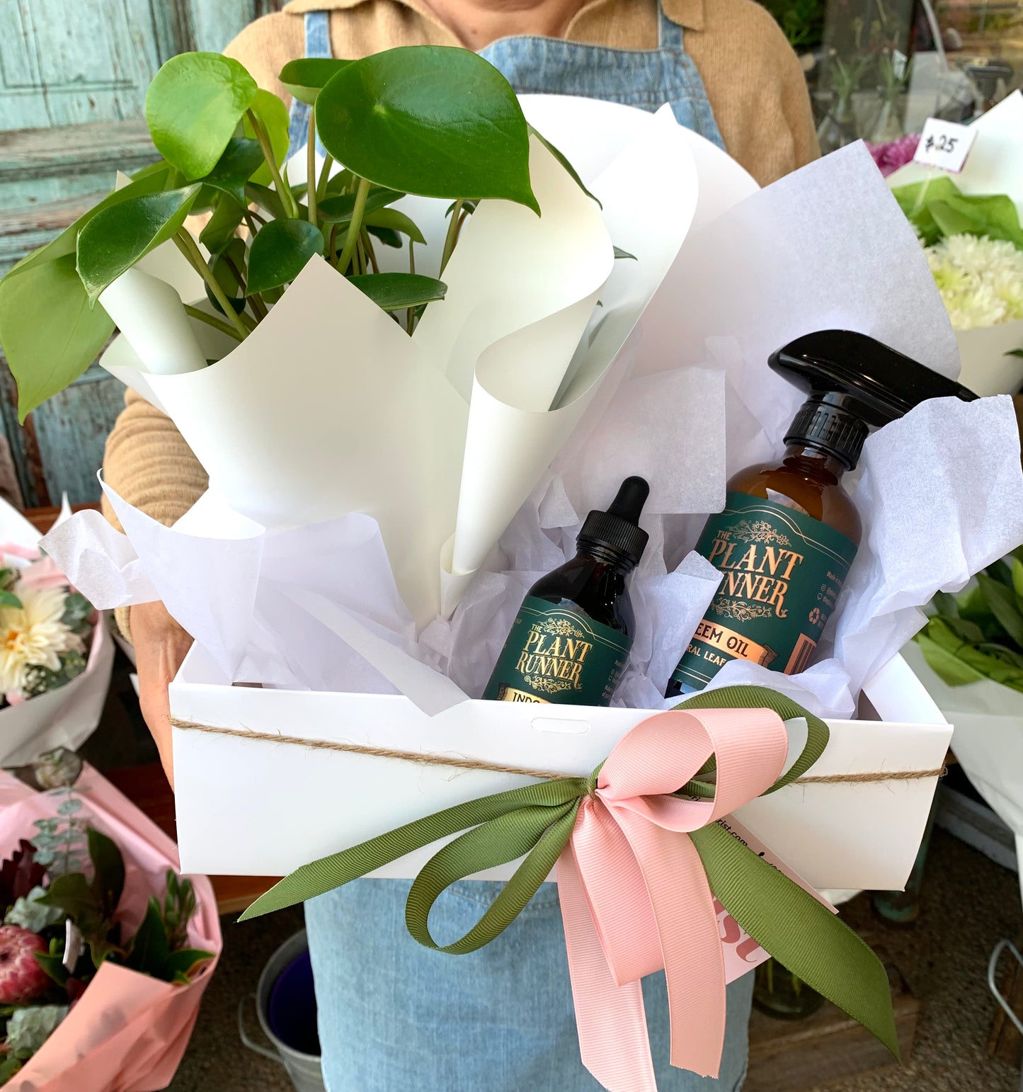 The Plant Lover 🪴