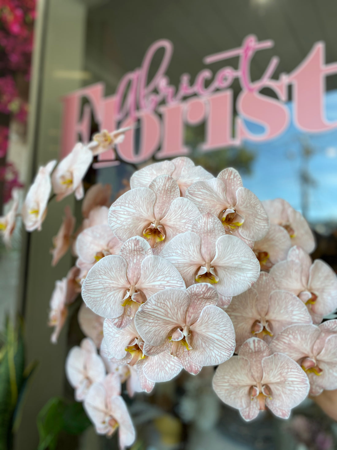 Mornington Peninsula's Only Florist Based in 2 Locations: Mornington & Mount Eliza Florists