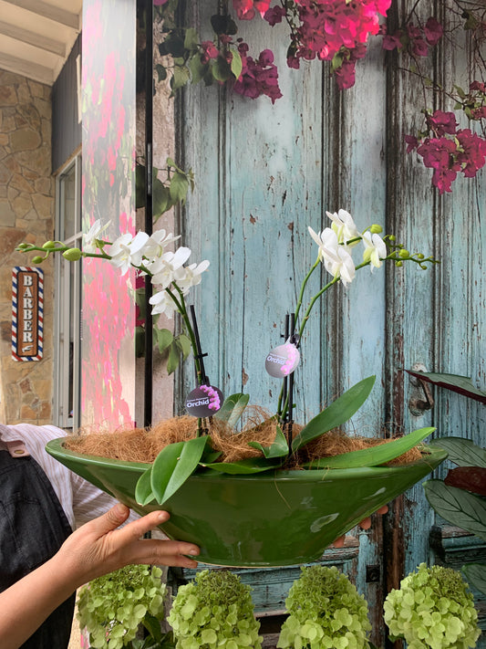 Boat of orchids