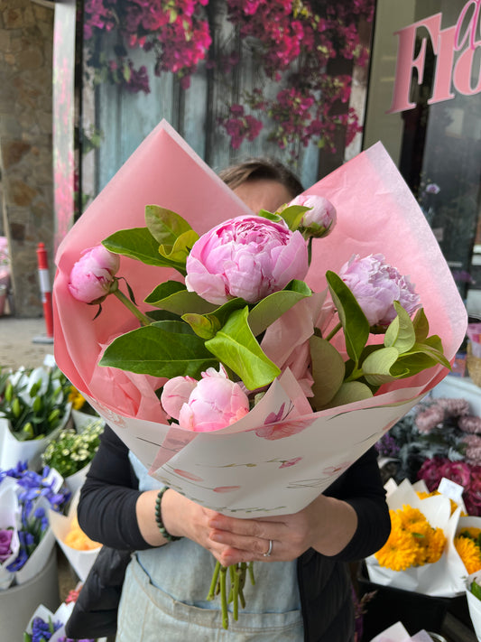 Peony Love