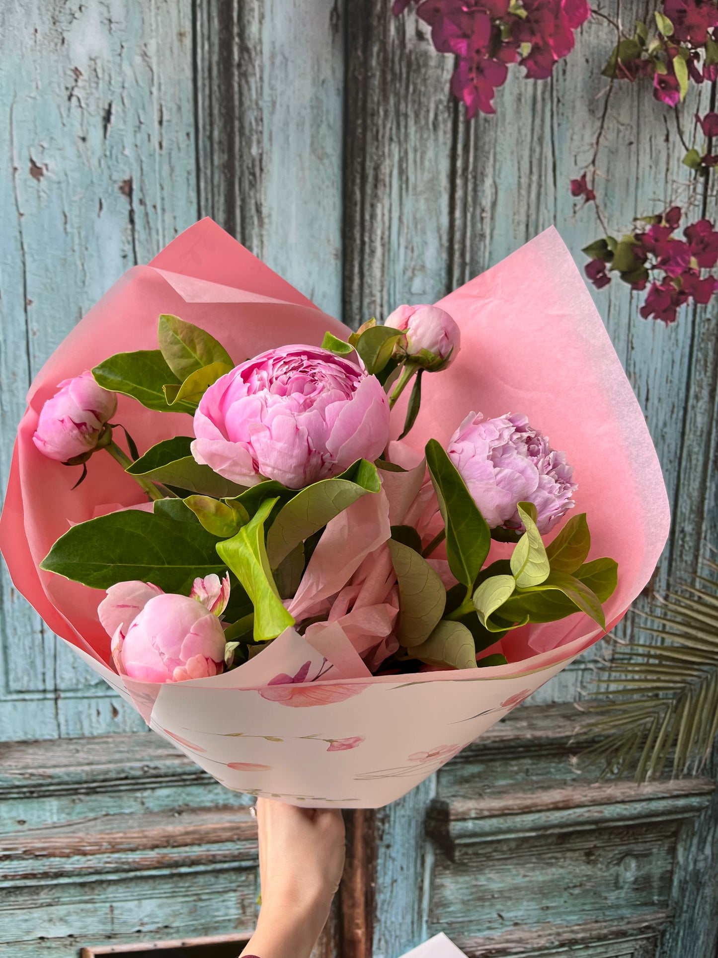 Peony Love
