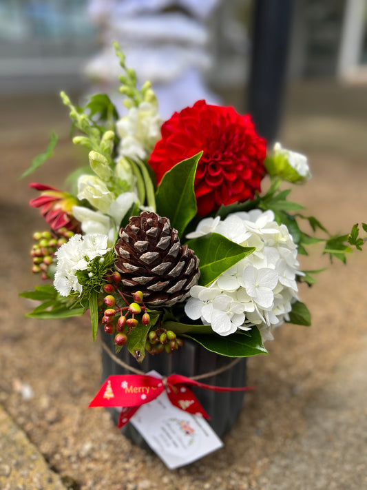 Comet- Ceramic arrangement