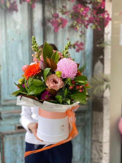Amber- Hat box arrangement